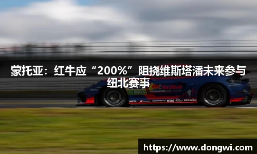 蒙托亚：红牛应“200%”阻挠维斯塔潘未来参与纽北赛事